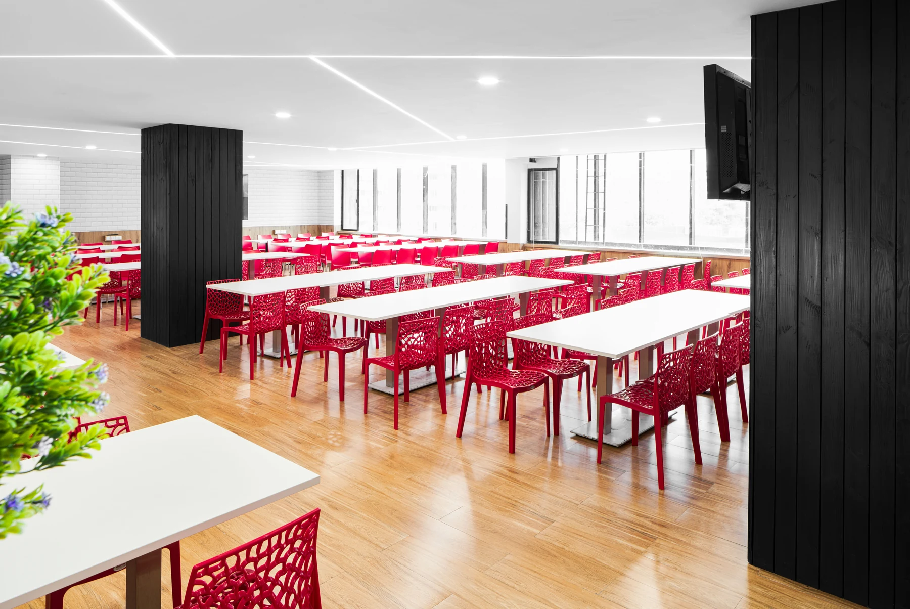 Shared dining area with red chairs, pale tables and planting.